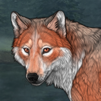 Feldspar Headshot