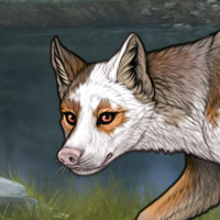 Piebald: Torn Headshot