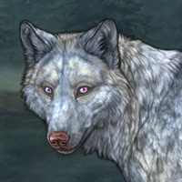 Howling Moon Headshot