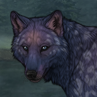 MOONLIGHT BREED AT NIGHT Headshot