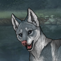 G4 Fox Bloodhound Headshot