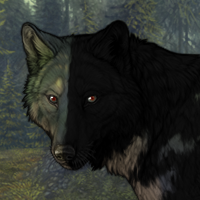 Darkforest Headshot