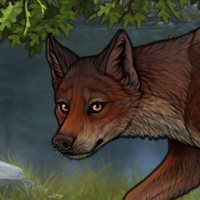 FoxFang Headshot