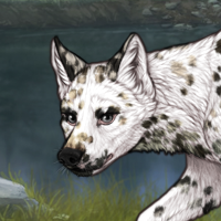 $Dalmatian Vanilla 400 G2 Headshot