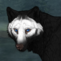 Wolf Headshot