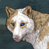 Piebald M Headshot