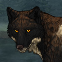 Wolf Headshot