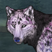 Lavender speckles Headshot