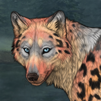 Pattern Pelt Headshot