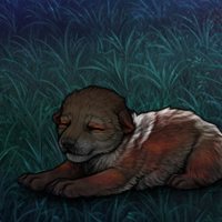 Skarn M Pup 309s Headshot