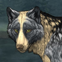 Wolf Headshot