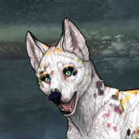 Piebald: Dalmatian,920,IB Headshot