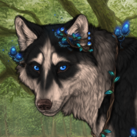 Wolf Headshot
