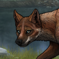Badger | Novus Headshot