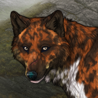 Wolf Headshot
