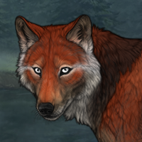 Fox pelt Headshot