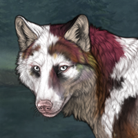 Piebald Dinar! Headshot