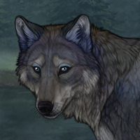 Wolf Headshot