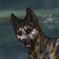 Syla Headshot