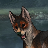 Husklight Headshot