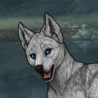 Ashen Male Pup Headshot