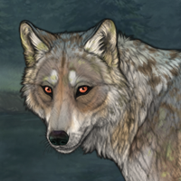 Wolfsong Headshot