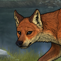 t3 fox Headshot