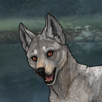 riverfall Headshot