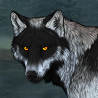 Wolf Headshot