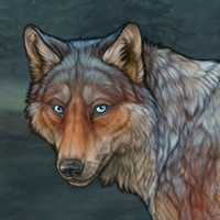 Auburn Wolf Headshot