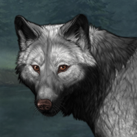 Wolf Headshot