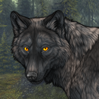 Wolf Headshot