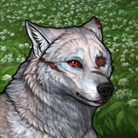 Wolf Headshot