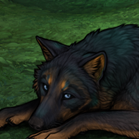 Family of Zeela |:| Wolvden