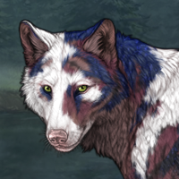 Uneven Piebald Headshot