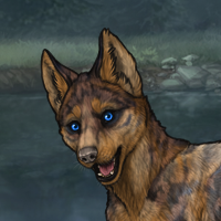 Amine's puppy 3 Headshot