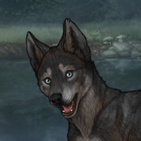 Sale M: Darkpup Headshot