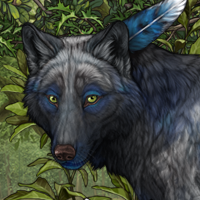 Wolf Headshot