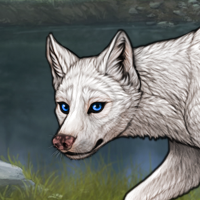 New Puppy Argent Blue Headshot