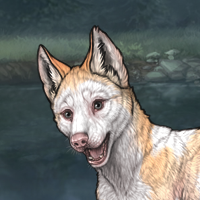 Piebald: Frontal Headshot