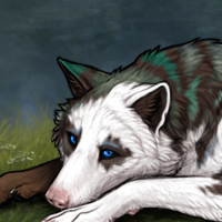 Chestnut | Piebald: Torn Headshot