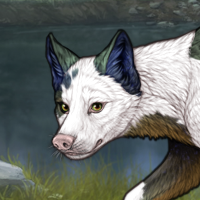 Piebald: Dip Headshot