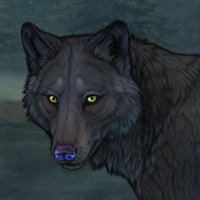 ZBlueschist Headshot