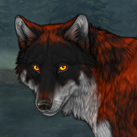 Wolf Headshot