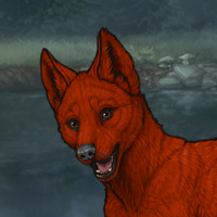 Red Male Pup Headshot