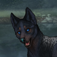 Blueschist Headshot