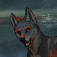 Swiftpup Headshot