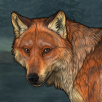 Painted Fox Headshot
