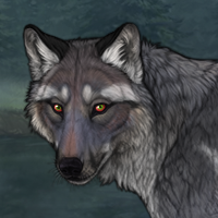 Holly Headshot
