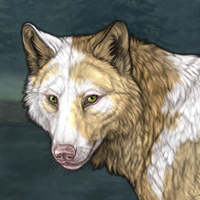 Tier 1 Piebald; Uneven Headshot